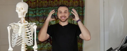 Masaj İçin Anatomi: Temel Bilgiler ve Yapılar