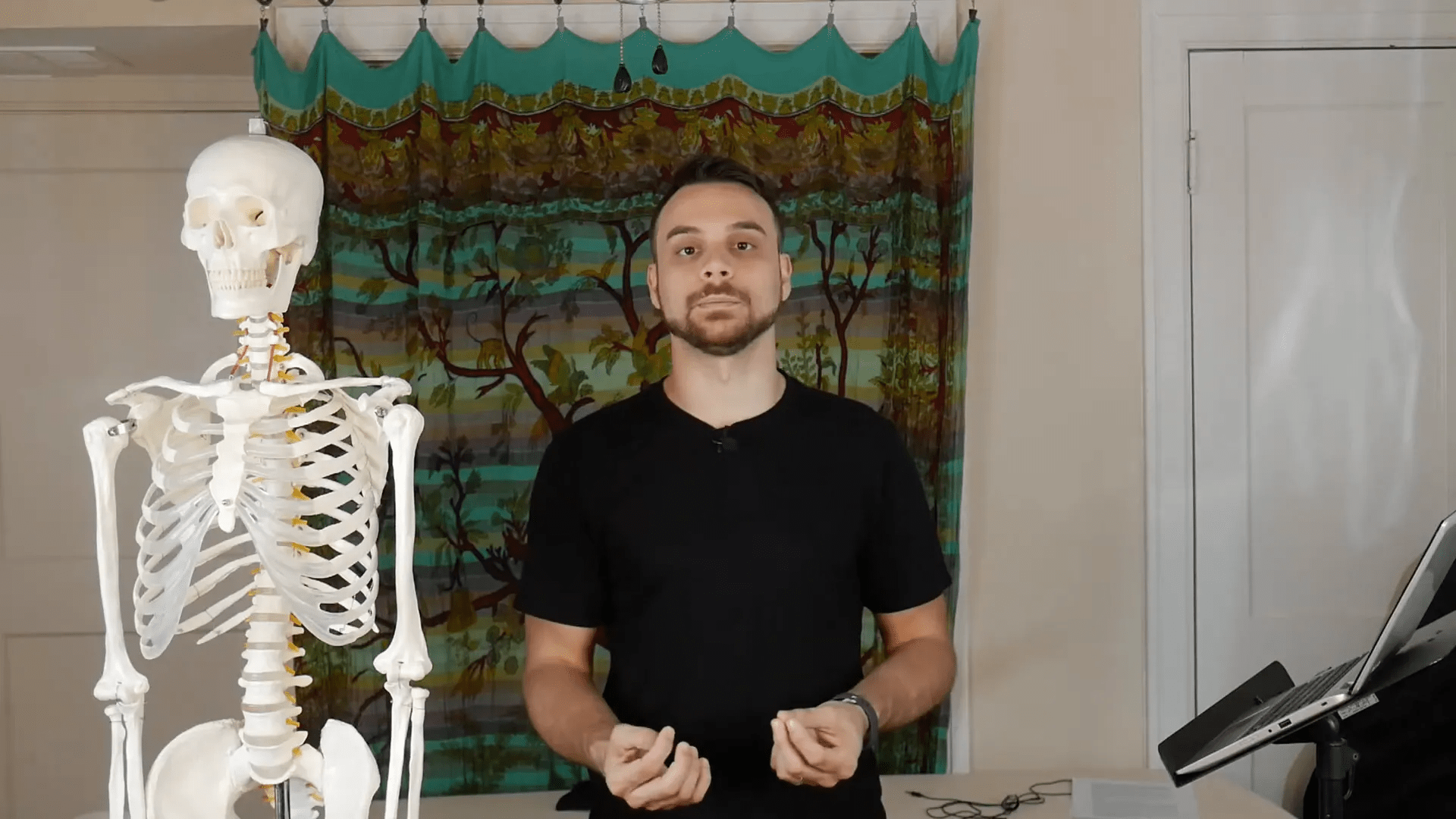 Sinir sisteminin bileşenleri