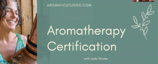 Sertifikalı Masaj Terapisti Olmanın Yolu: Aromaterapi Sertifikası