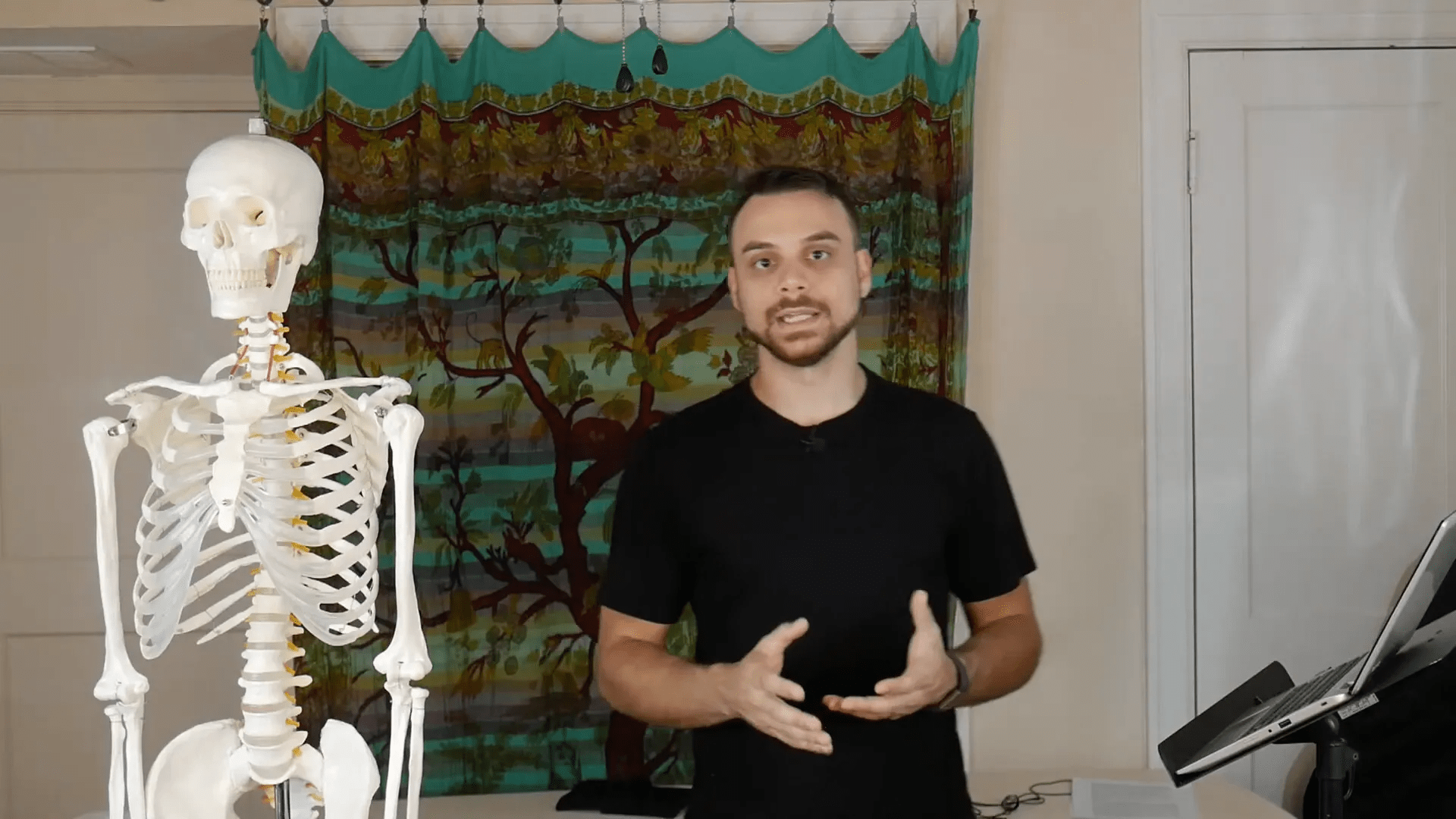 Homeostaz ile ilgili diagram