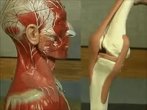 İngiltere'nin masaj üzerindeki etkisi