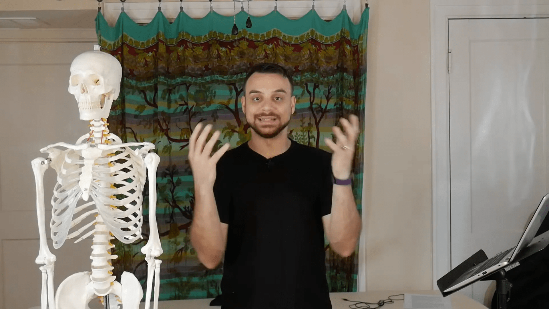 Endokrin sistemin hormonları