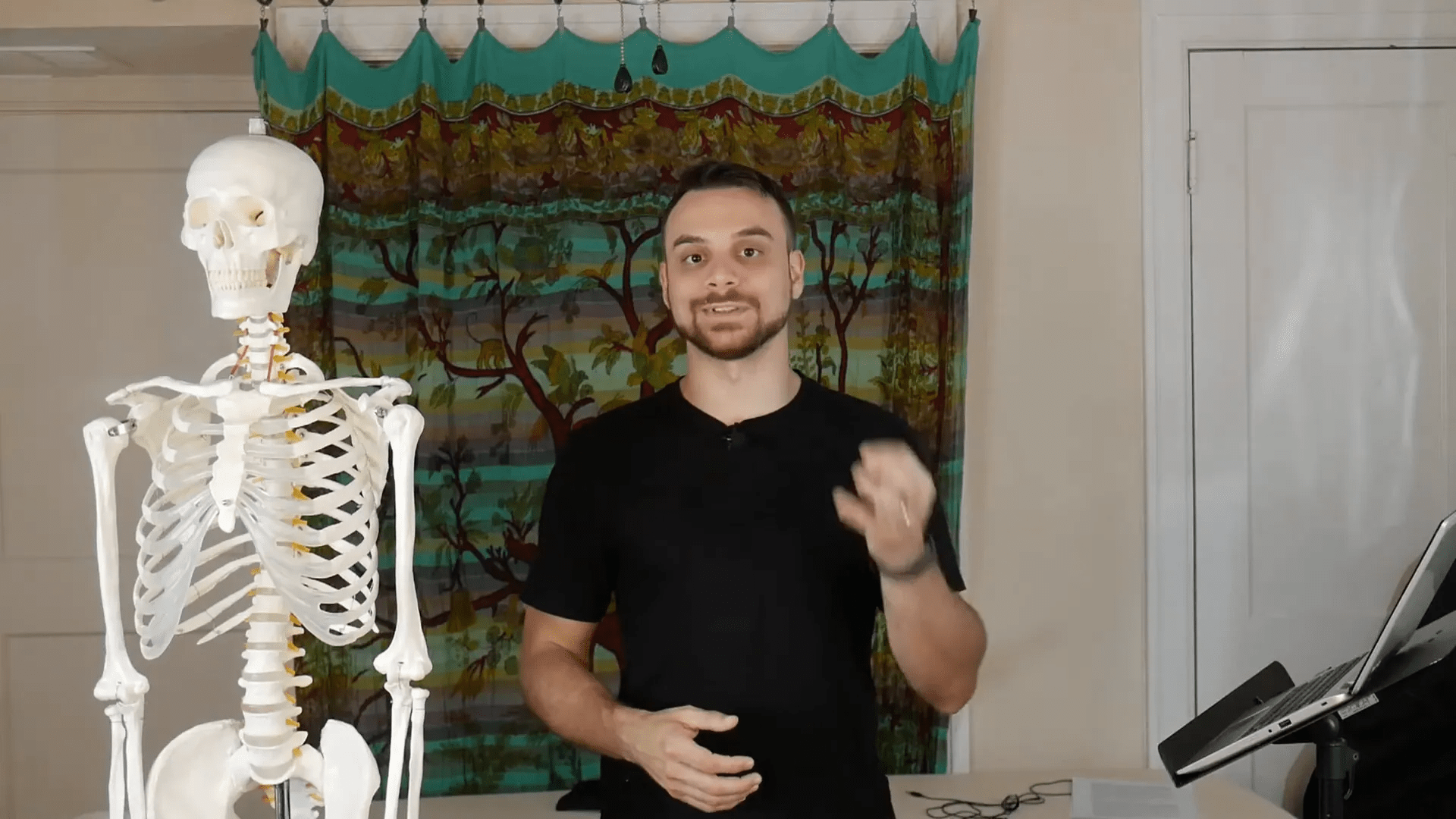 Kök kelimeler ve ekler