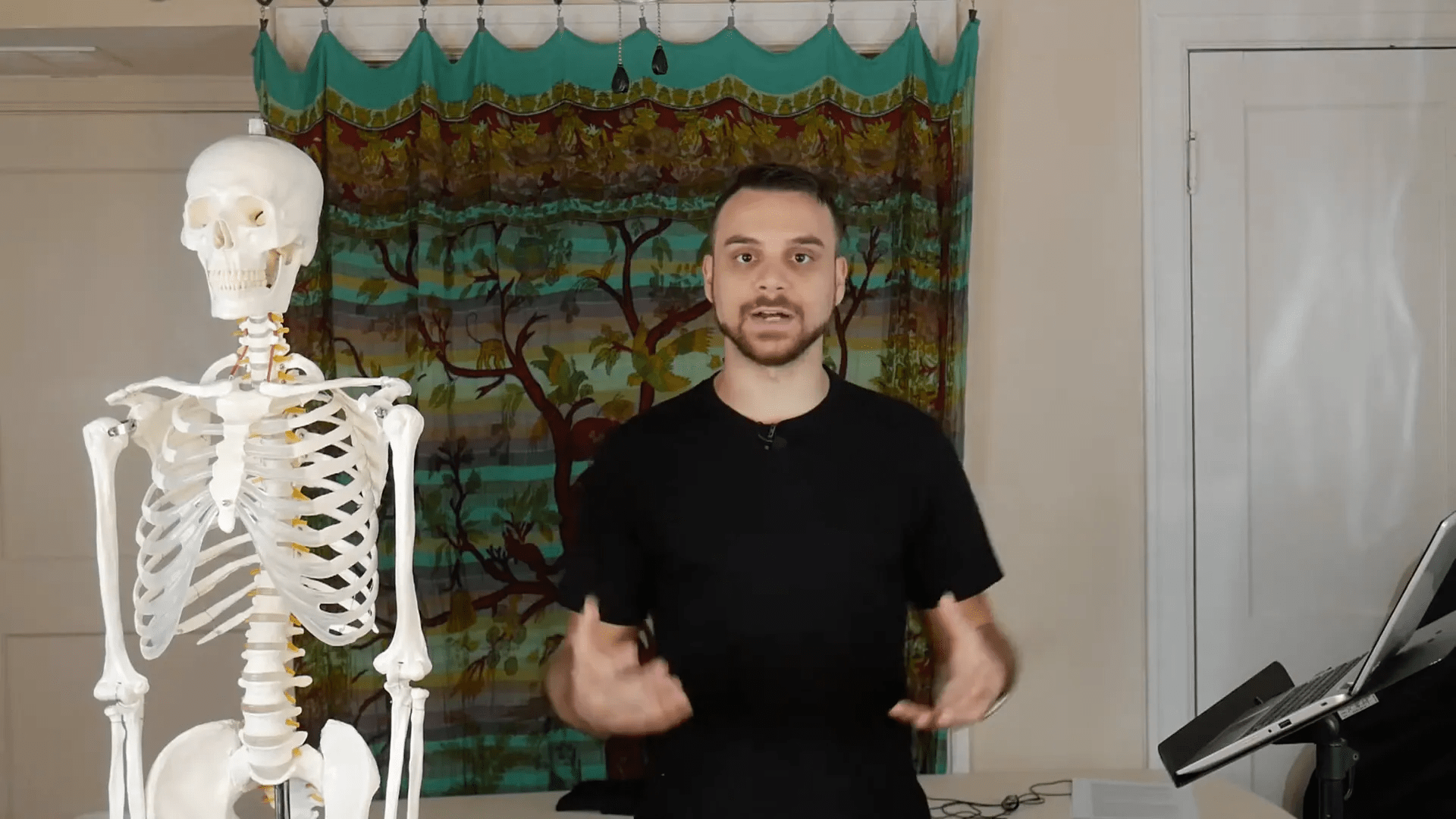 Anatomi tanımı ile ilgili diagram