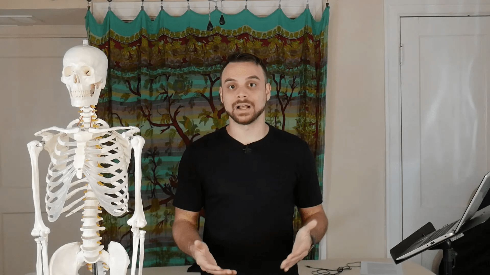 Hücre yapısı ve organeller