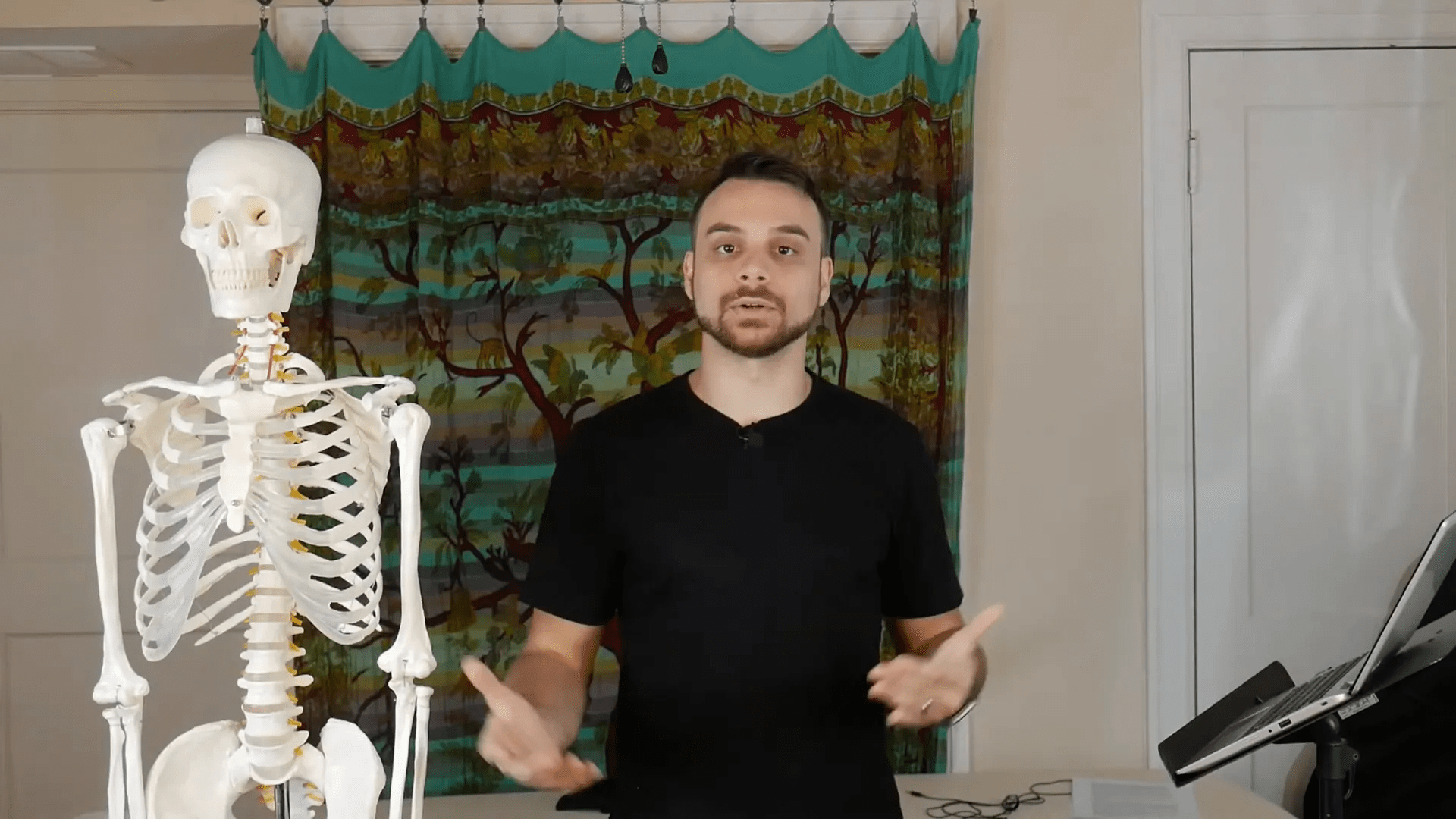 Organellerin görevleri ile ilgili diyagram