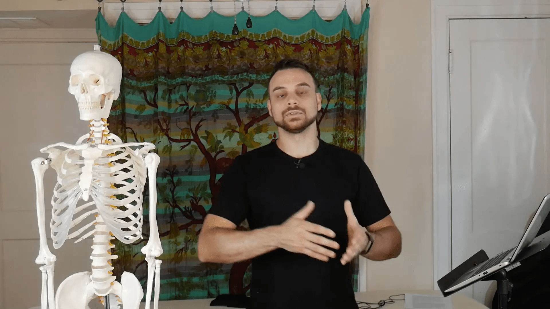 Yön terimleri ile ilgili bir grafik