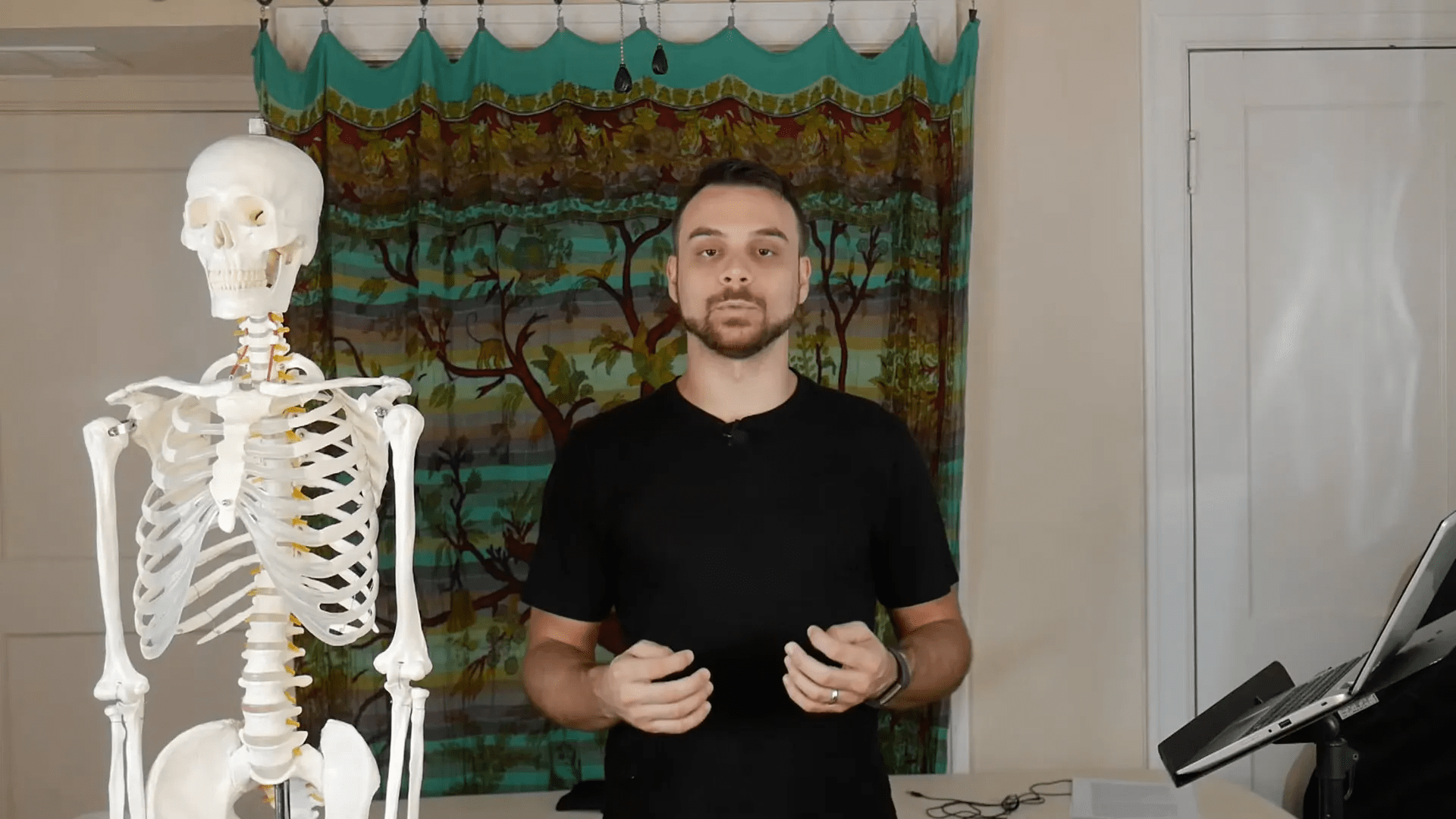 Anatomi ve fizyoloji terminolojisi