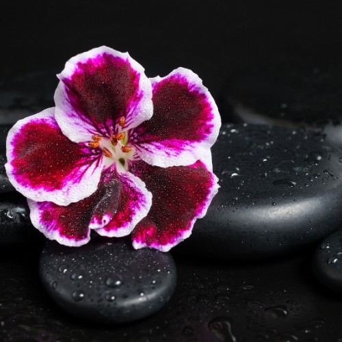 sensual en kaliteli masaj